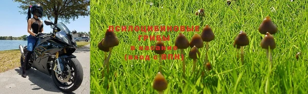 a pvp Алзамай