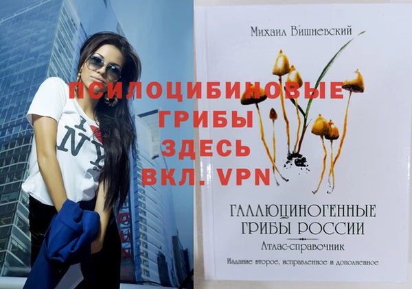 индика Алексеевка