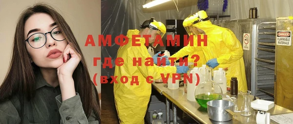индика Алексеевка