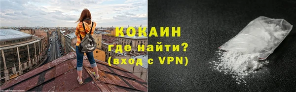 индика Алексеевка